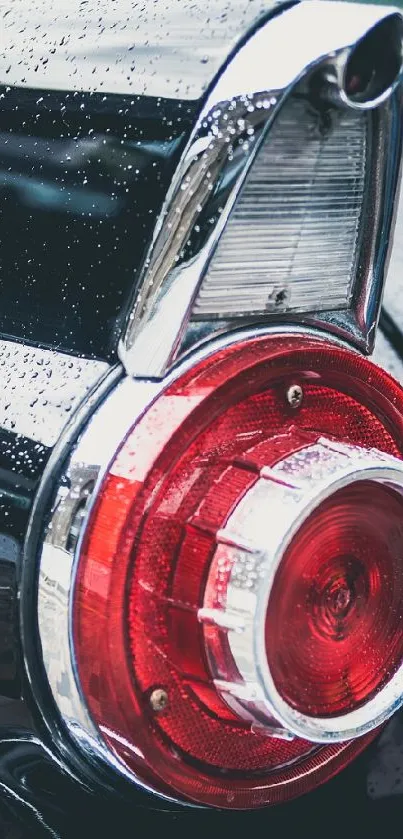 Close-up of a classic black Thunderbird tail light.