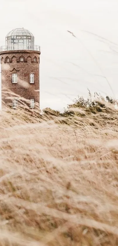 Vintage tower in wheat field under pale sky.