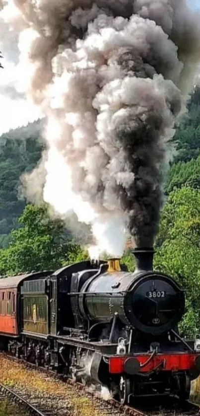 Vintage steam train traveling through lush greenery.