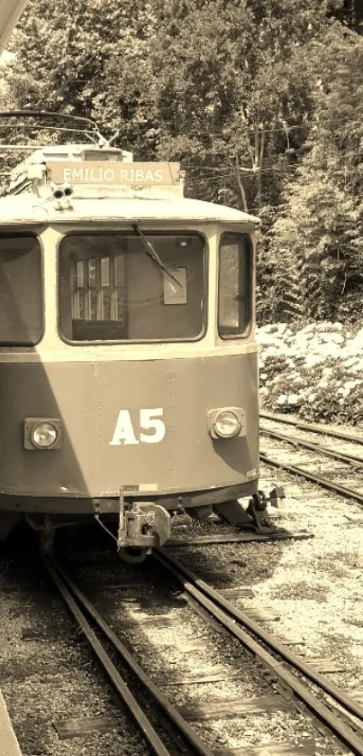 Sepia-toned vintage train on railway tracks.