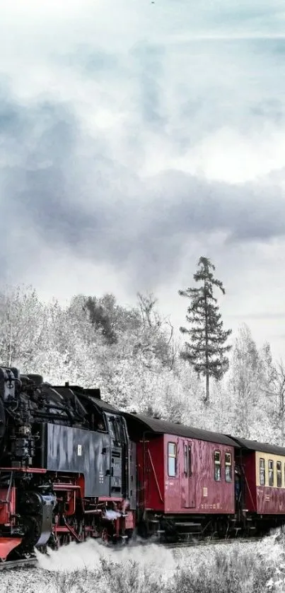 Steam train travels through snowy landscape with cloudy sky.