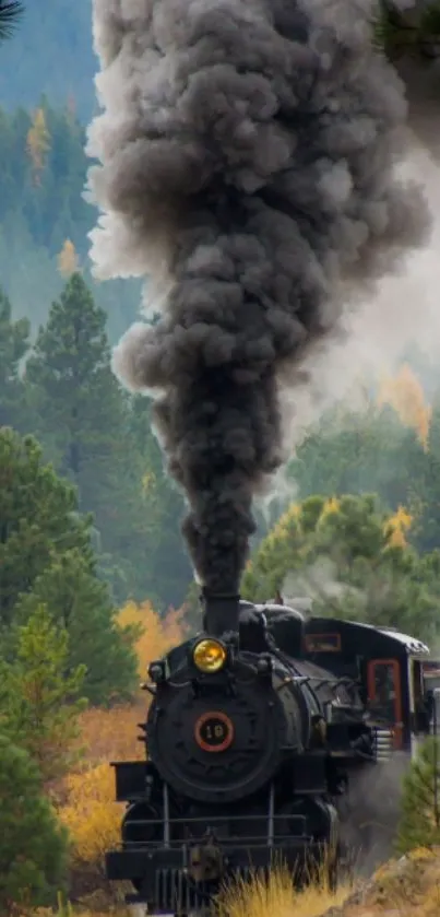 Steam train travels through a lush pine forest, exuding nostalgic charm.