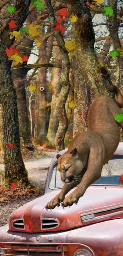 A wildcat on a vintage truck in a forest path.