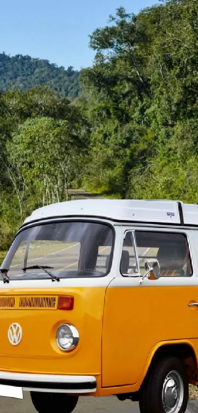 Orange vintage van on a green forest road.