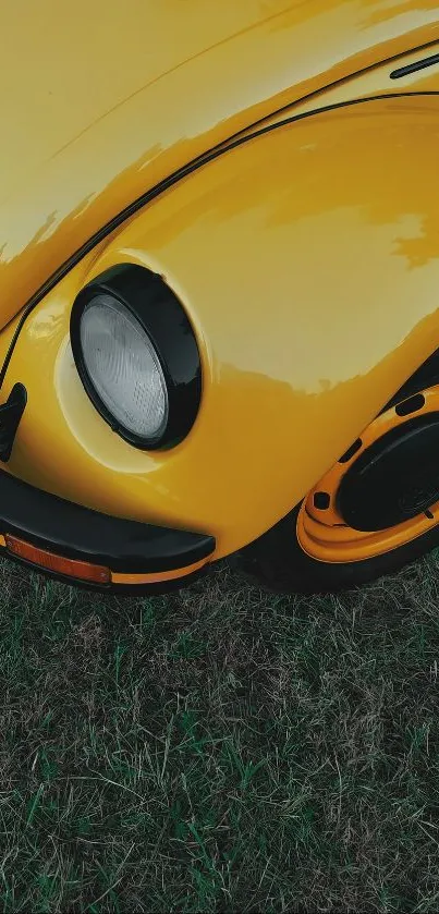 Vintage yellow car on green grass background, capturing classic style.