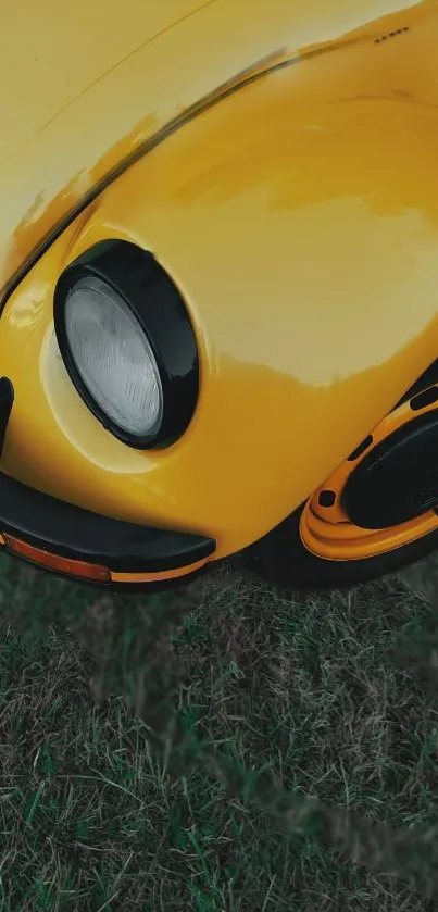 Close-up of a vintage yellow car on grass.