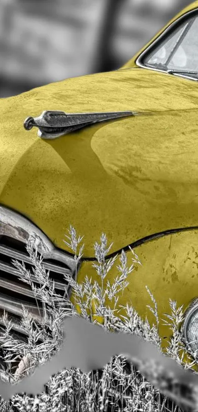 Vintage yellow car in a field, showcasing classic design.