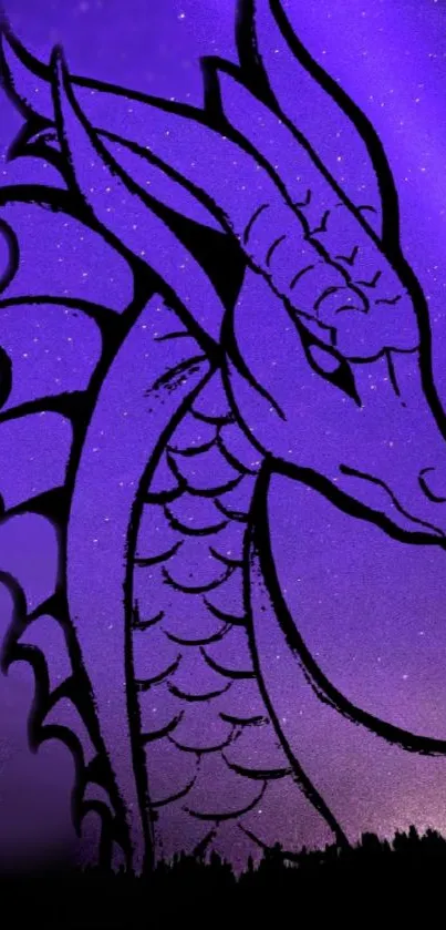 Violet dragon silhouette on a night sky background.