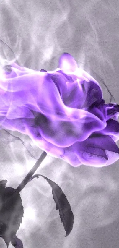 Violet rose with flames on mobile wallpaper