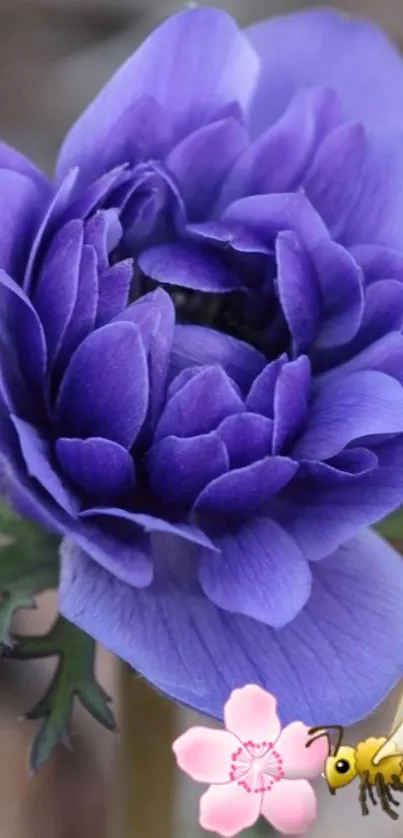 Violet flower with bee and pink petal accents in nature.