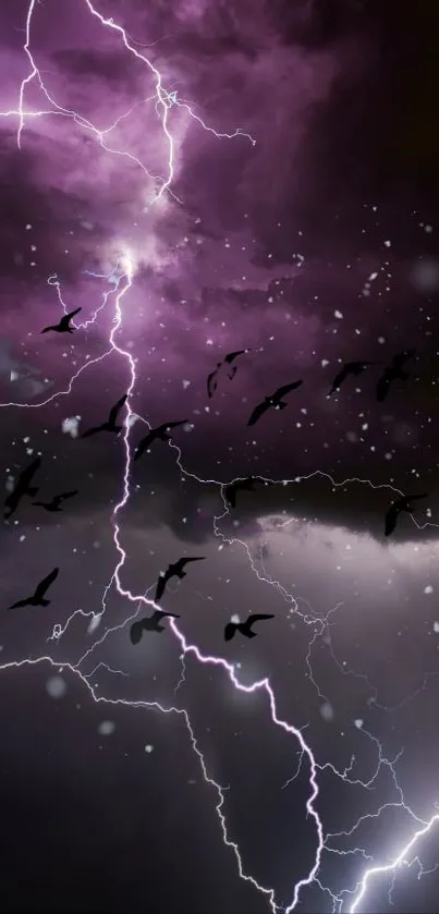 Dynamic violet lightning strikes with birds in the dark night sky.