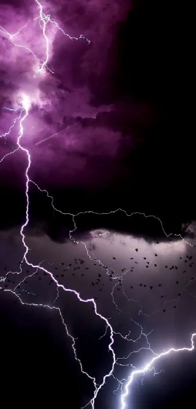 Violet lightning illuminates a stormy night sky in this dynamic mobile wallpaper.