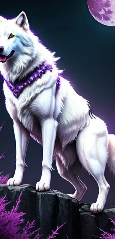 White wolf standing on rocks under a violet moon.