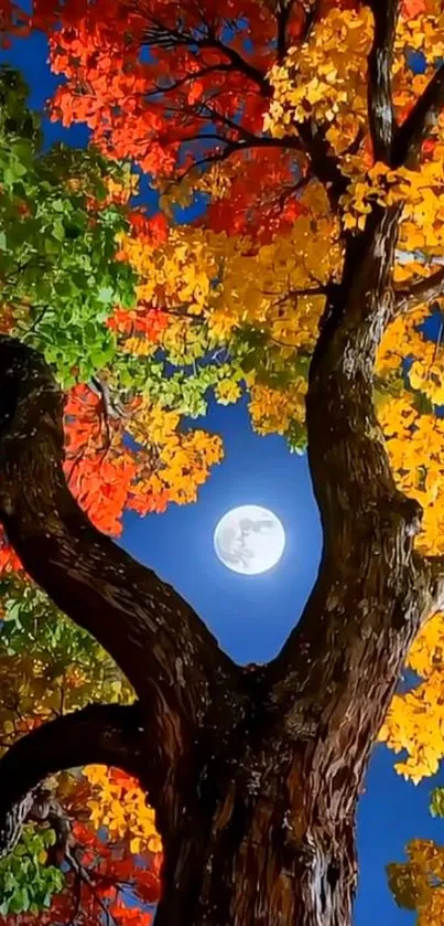 Colorful tree with full moon in night sky.