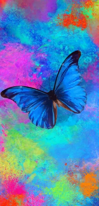 Blue butterfly on a vibrant rainbow abstract background.