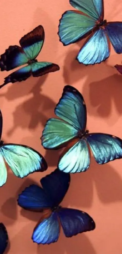 Vibrant blue butterflies on a peach background.