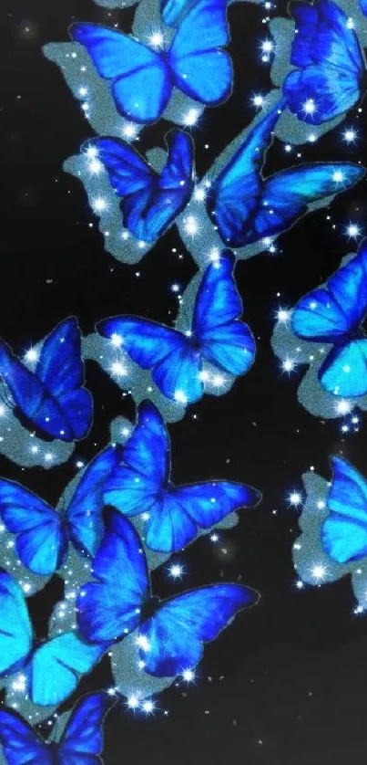 Vivid blue butterflies on a sparkling starry background.