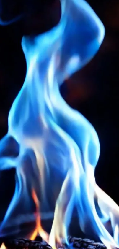 Dynamic blue flame on dark background wallpaper.