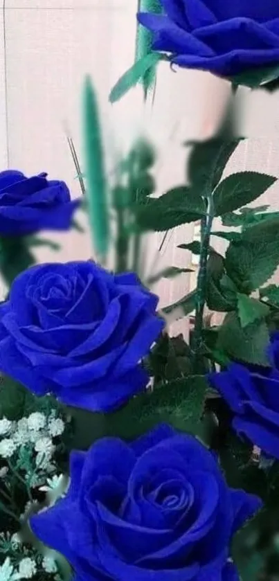 Stunning bouquet of vivid blue roses with lush green leaves.