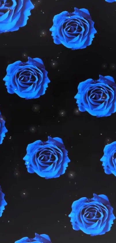 Vibrant blue roses on a black background.