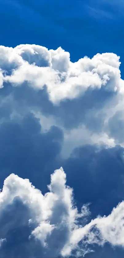 Majestic cumulus clouds against a vivid blue sky in a serene mobile wallpaper.