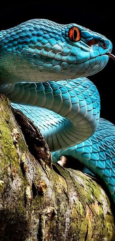 Vivid blue snake coiled on a branch.