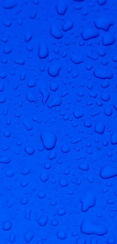 Blue wallpaper with realistic water droplets.