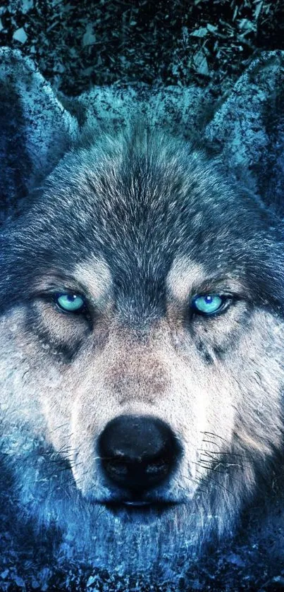 Blue wolf with piercing eyes mobile wallpaper.