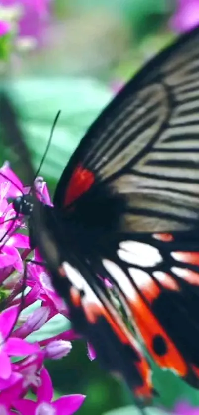 Close-up of butterfly on pink flowers with vibrant colors.