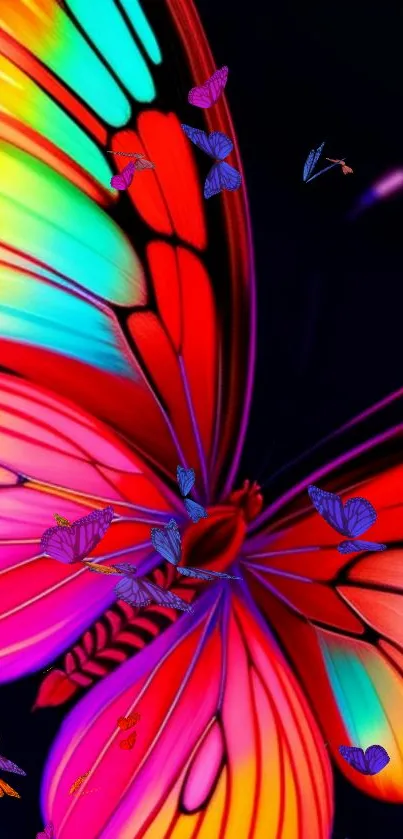 Colorful butterfly wallpaper with vibrant, rainbow hues on a dark background.