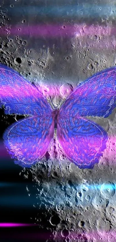 Purple butterfly on moon surface wallpaper.