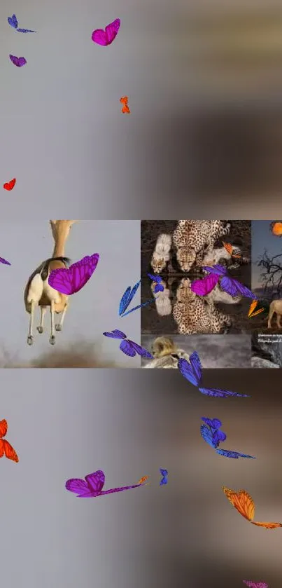 Colorful safari-themed wallpaper with butterflies and wildlife.