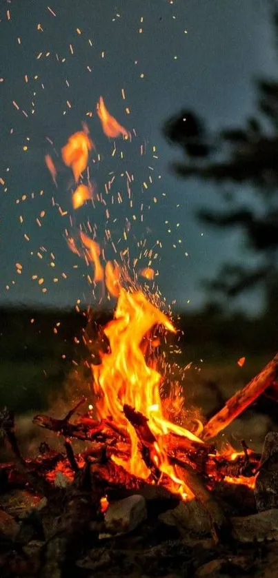 Vibrant campfire blazing with warm orange flames in a dark outdoor setting.