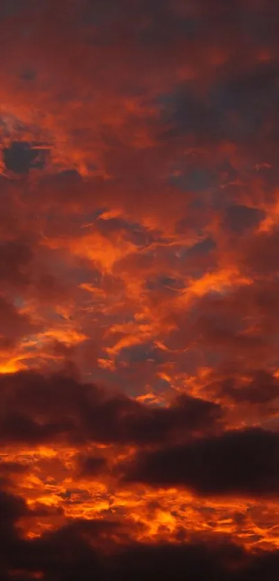 Fiery sunset with vivid orange and red clouds in a dramatic evening sky.