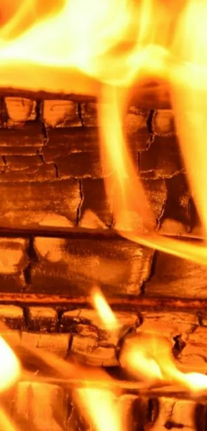 Close-up of vivid firewood flames with orange glow.