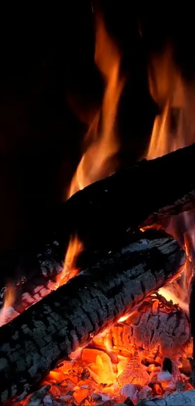 Vivid orange flames with dark background.