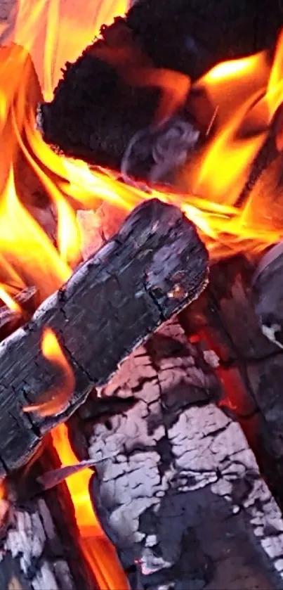 Vibrant flames dancing on burning logs.