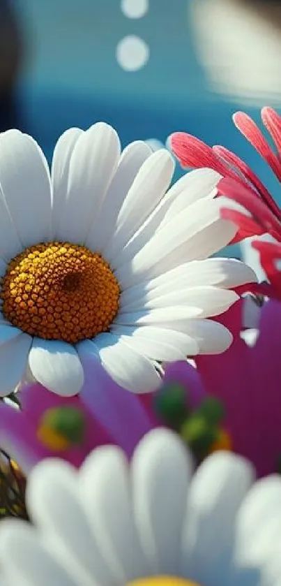 Vivid floral wallpaper with daisies and pink flowers.