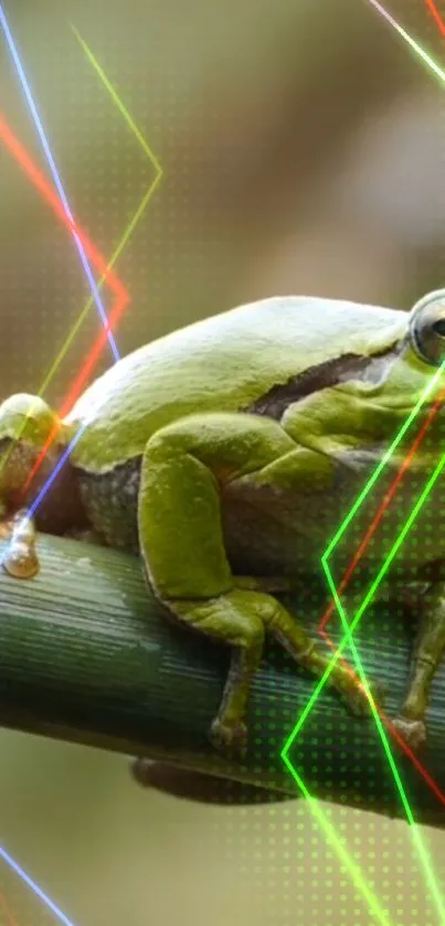 Green frog with laser streaks on bamboo, vibrant wallpaper.