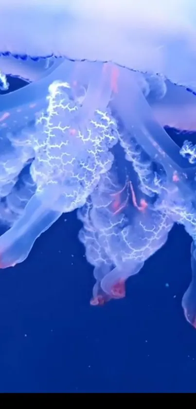 Vivid jellyfish against dark blue background with luminescent hues.