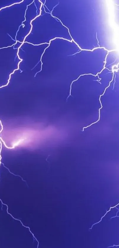 Dynamic purple lightning wallpaper with striking electric patterns.