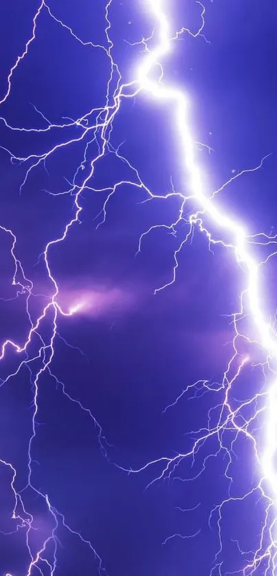 Vivid purple lightning bolt in stormy sky wallpaper.