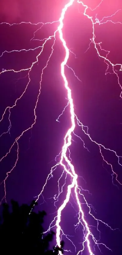 Purple lightning bolt against a dark sky, electrifying nature scene.