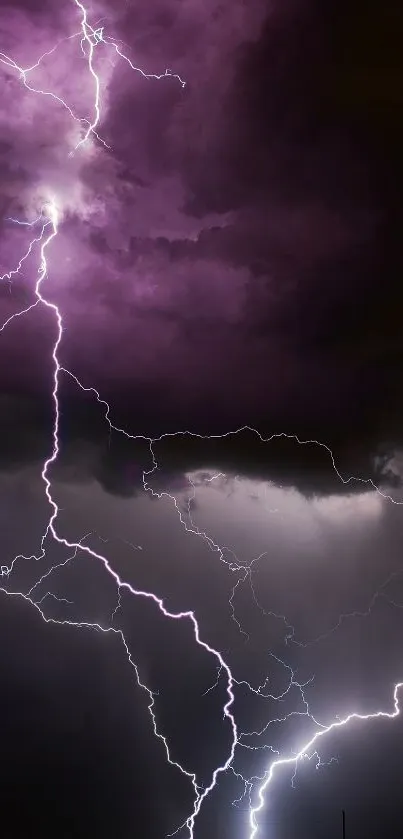 Vivid lightning storm with purple and white bolts in a cloudy dark sky.