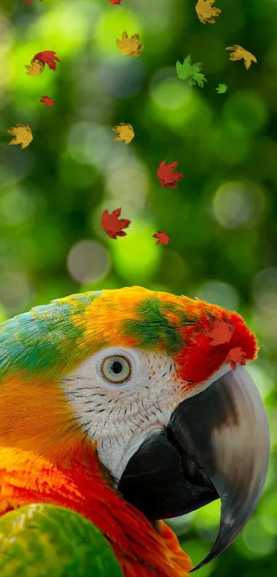 A stunning macaw parrot with colorful feathers against a lush green background.