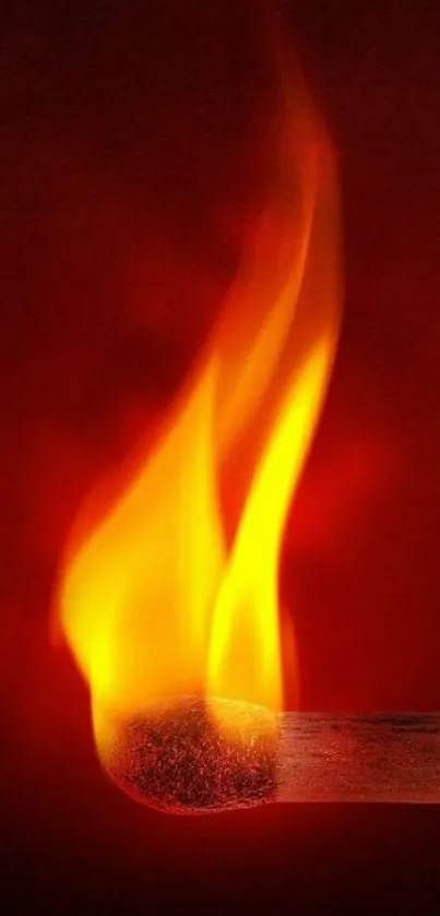 Vivid matchstick flame against a red background.