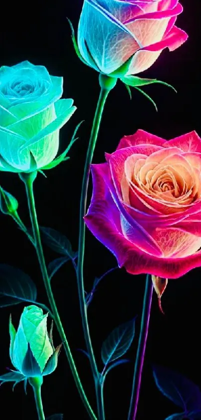 Vivid neon roses against a black background.