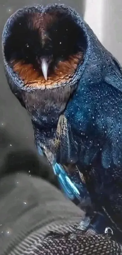 Vibrant nocturnal owl with dark plumage sits attentively on a textured perch.