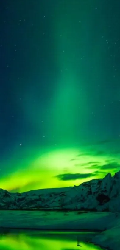 Vivid green Northern Lights over a snowy landscape with starry sky.