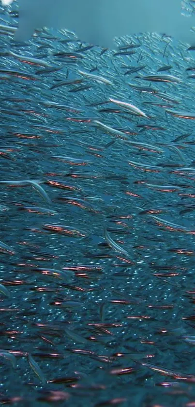 Colorful fish swim in ocean, creating a vibrant and dynamic natural scene.